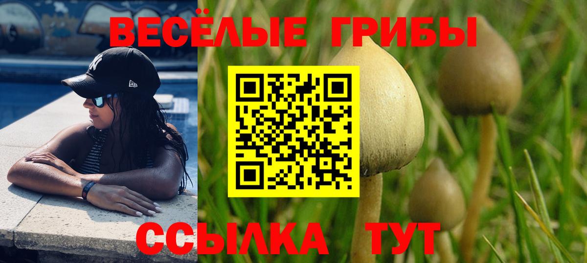 наркошоп  Вход с VPN  Псилоцибиновые грибы Psilocybe  Ухта  Псилоцибиновые грибы MAGIC MUSHROOMS 
